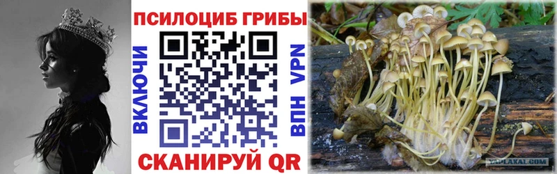 Галлюциногенные грибы GOLDEN TEACHER  Купить закладки  Льгов 