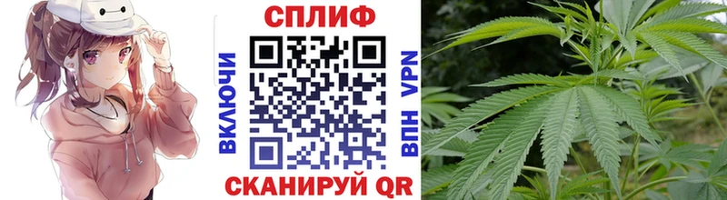 Конопля Ganja  Купить где  Льгов 